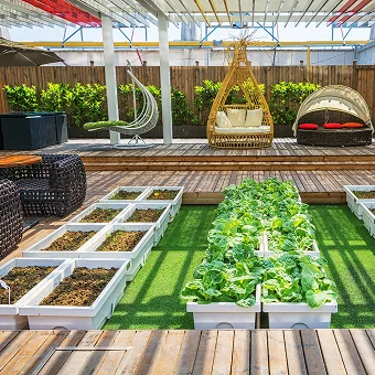 Roof Top Garden Featuring